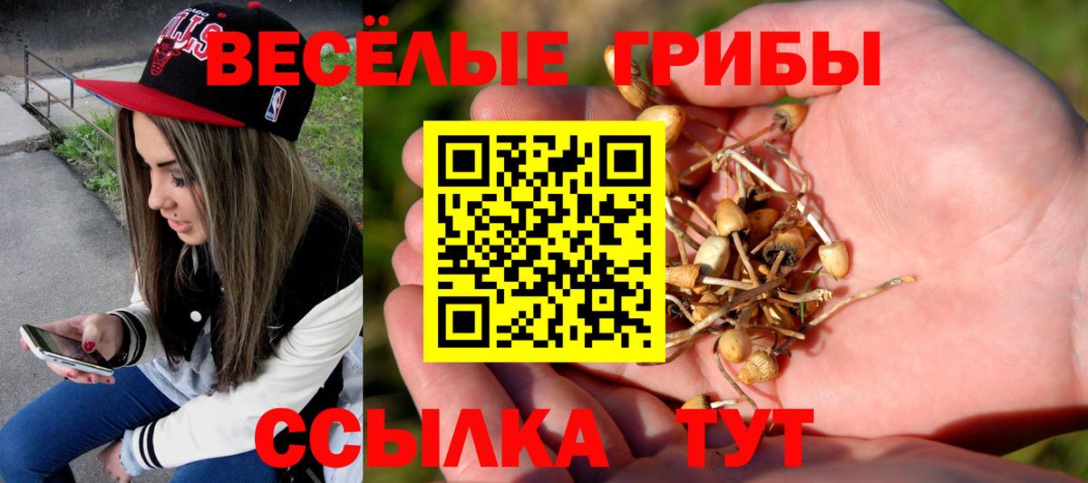 как найти наркотики  Вход с VPN  Нягань  Псилоцибиновые грибы мицелий 