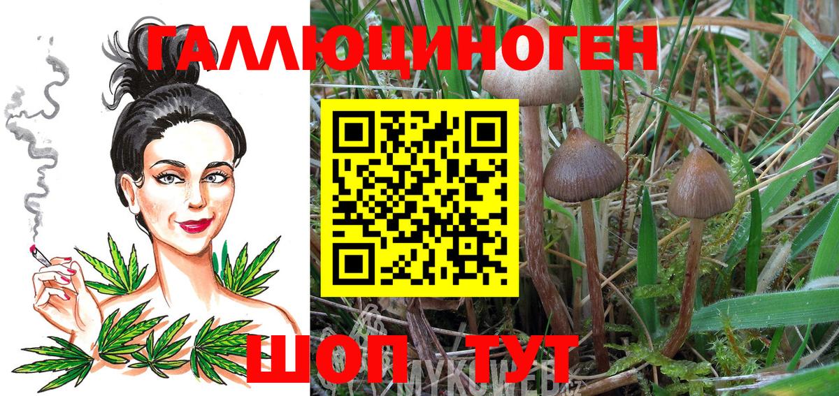 Псилоцибиновые грибы Magic Shrooms Нягань